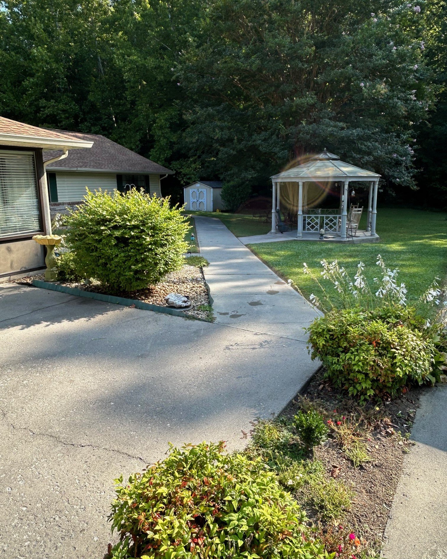 image4 - Copy